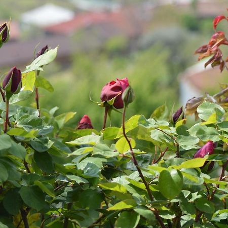 L'Uovo E La Faina Bed & Breakfast Busca Eksteriør bilde